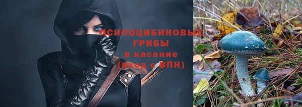 круглые Абаза
