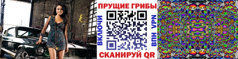 Галлюциногенные грибы прущие грибы  Константиновск 